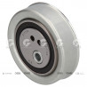 POLEA FIJA DE CORREA DE DISTRIBUCION BTE 63454