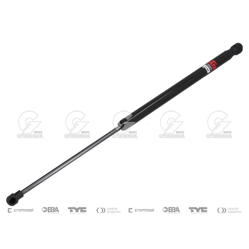 AMORTIGUADOR DE BAUL/PORTON LIFTGATE 24855