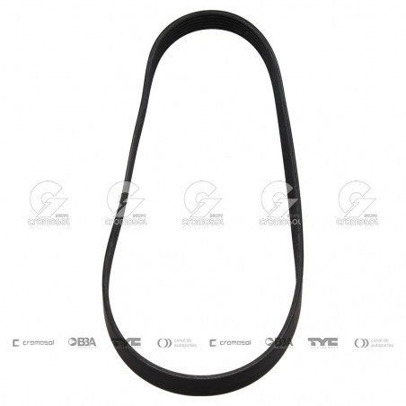 CORREA POLIV DE ACCESORIOS CONTINENTAL 5572/20