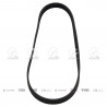 CORREA POLIV DE ACCESORIOS CONTINENTAL 5572/20