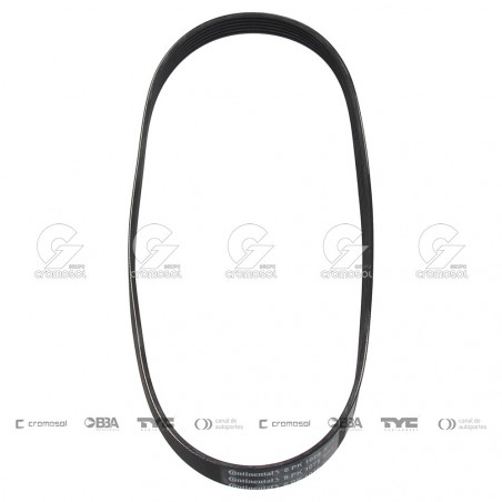 CORREA POLIV DE ACCESORIOS CONTINENTAL 5583/20