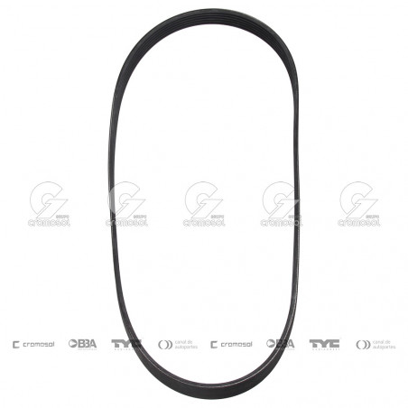 CORREA POLIV DE ACCESORIOS CONTINENTAL 5593/21