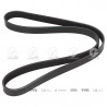 CORREA POLIV DE ACCESORIOS GATES 5596