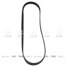 CORREA POLIV DE ACCESORIOS GATES 5646