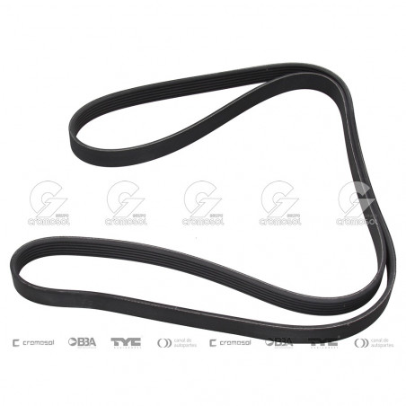 CORREA POLIV DE ACCESORIOS CONTINENTAL 5655/20