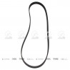 CORREA POLIV DE ACCESORIOS GATES 5667