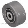 POLEA FIJA DE CORREA DE DISTRIBUCION BTE 63545