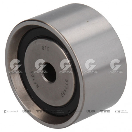 POLEA FIJA DE CORREA DE DISTRIBUCION BTE 63599