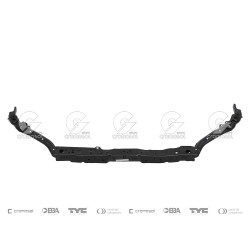 FRENTE TONG YANG 41010/70