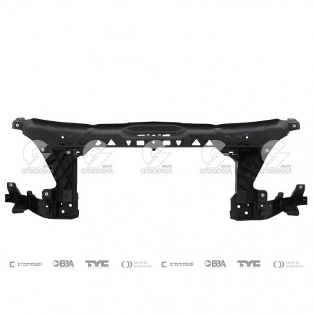 FRENTE TONG YANG 42499/72