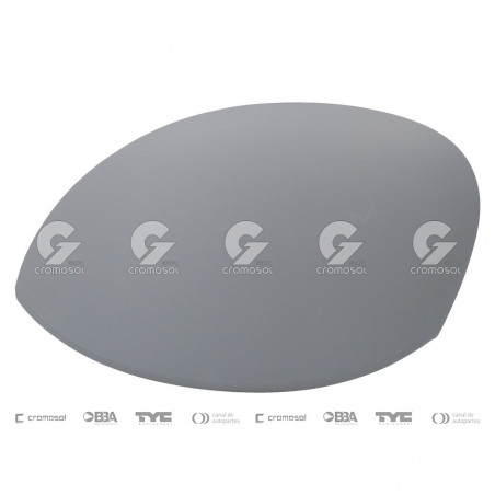 TAPA DE ESPEJO RETROVISOR EXTERIOR FTM 5565/20I