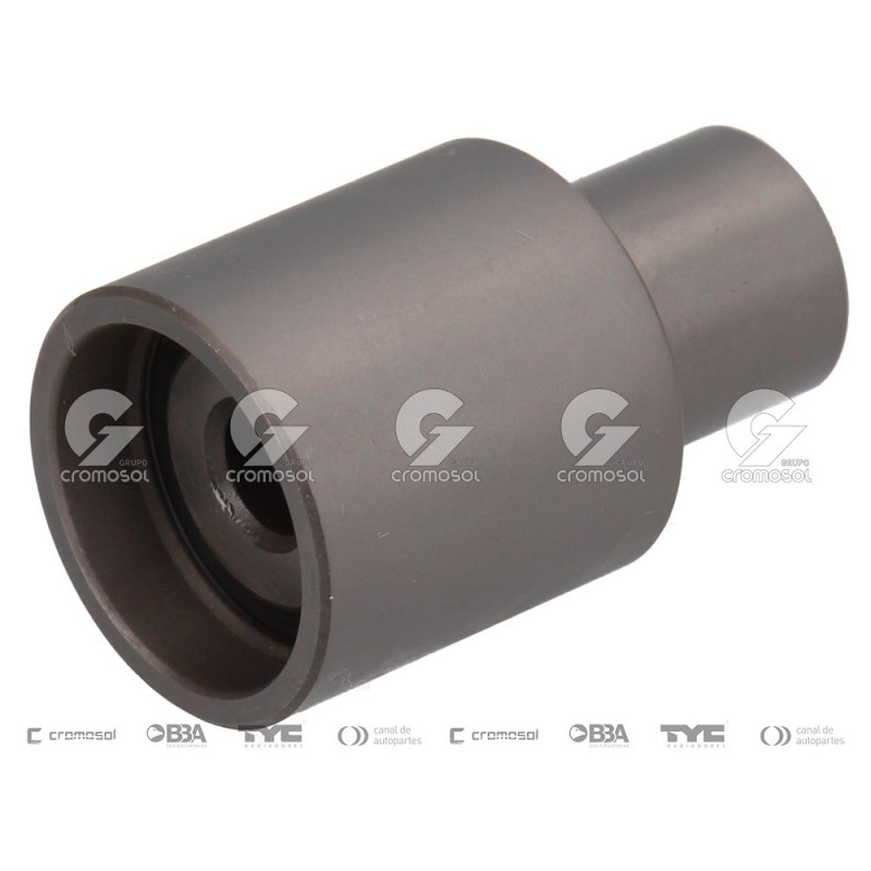 POLEA FIJA DE CORREA DE DISTRIBUCION BTE 63437