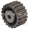 POLEA FIJA DE CORREA DE DISTRIBUCION BTE 63447