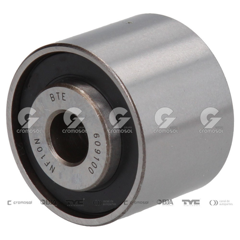 POLEA FIJA DE CORREA DE DISTRIBUCION BTE 63470
