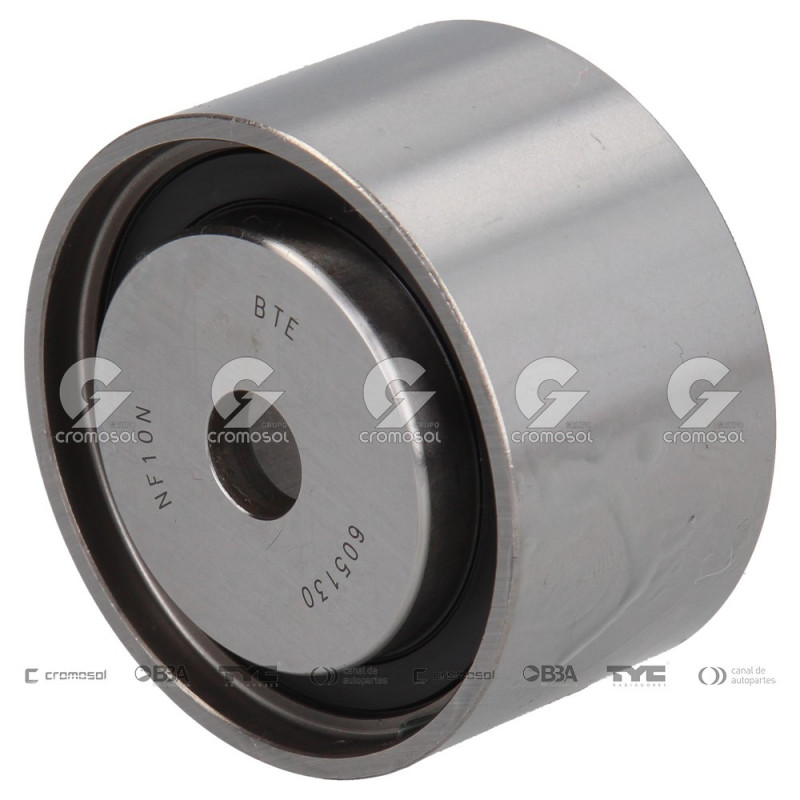 POLEA FIJA DE CORREA DE DISTRIBUCION BTE 63567