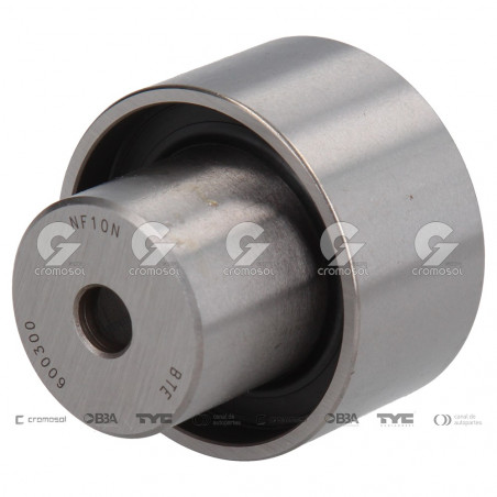 POLEA FIJA DE CORREA DE DISTRIBUCION BTE 63494