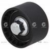 POLEA FIJA DE CORREA DE DISTRIBUCION BTE 63571