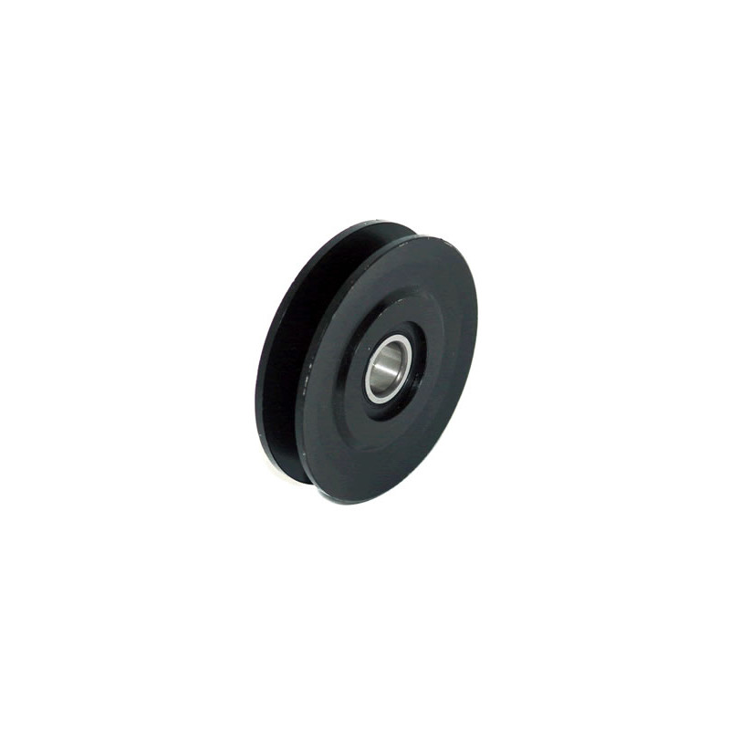 TENSOR DE CORREA DE ACCESORIOS BTP 11704