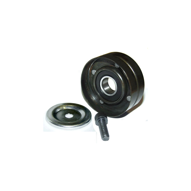 POLEA FIJA DE CORREA DE ACCESORIOS BTP 11716