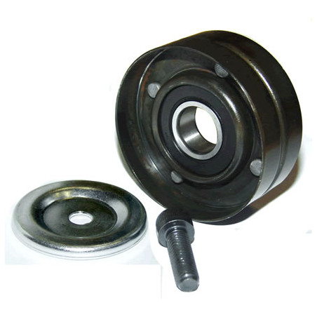 POLEA FIJA DE CORREA DE ACCESORIOS BTP 11716
