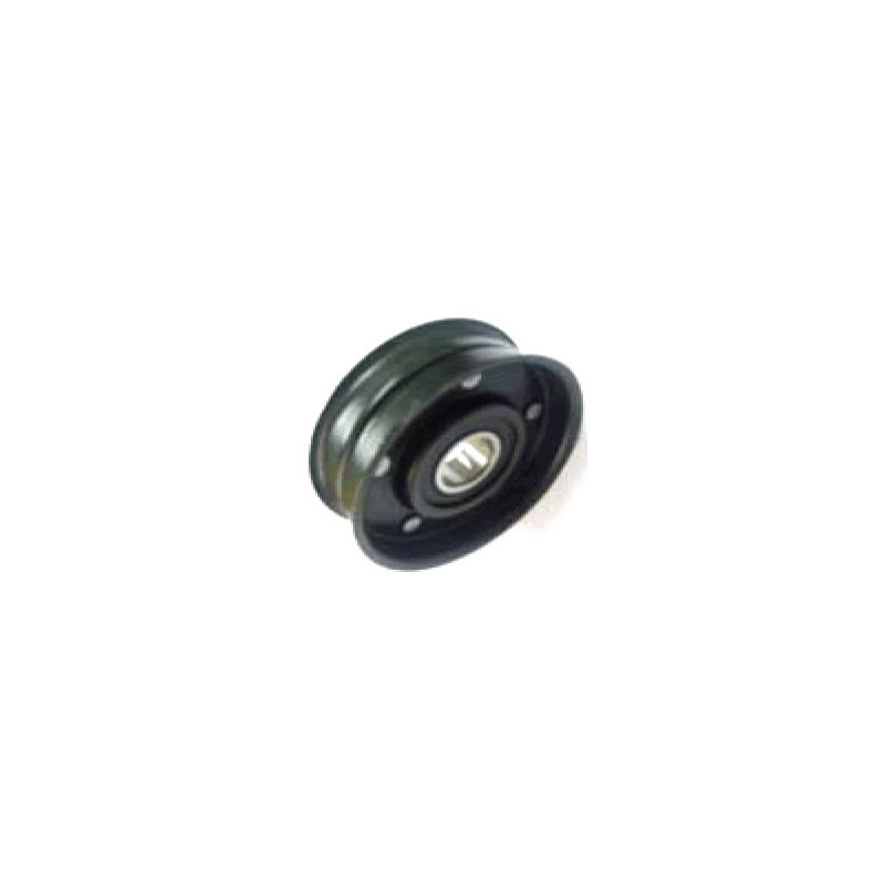 POLEA FIJA DE CORREA DE ACCESORIOS BTP 11717