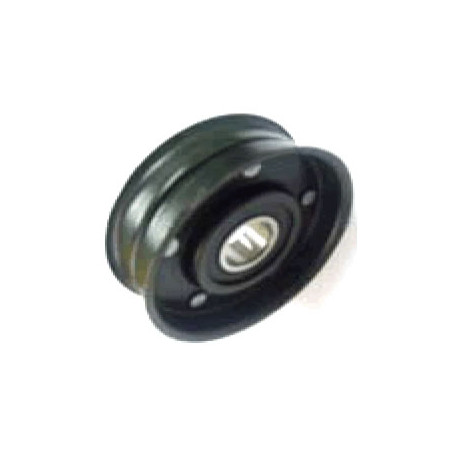 POLEA FIJA DE CORREA DE ACCESORIOS BTP 11717