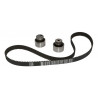 KIT DE CORREA DE DISTRIBUCION SKF VKMA 02169