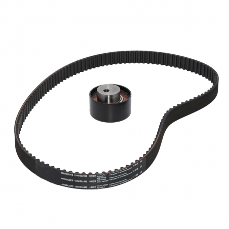 KIT DE CORREA DE DISTRIBUCION SKF VKMA 02204 A