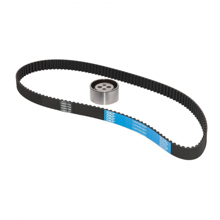 KIT DE CORREA DE DISTRIBUCION SKF VKMA 02206 A