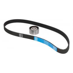 KIT DE CORREA DE DISTRIBUCION SKF VKMA 02206 A