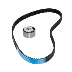 KIT DE CORREA DE DISTRIBUCION SKF VKMA 02206/1 A