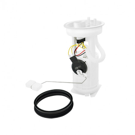 MODULO DE COMBUSTIBLE COMPLETO NAFTA (AFORADOR) DS M26027