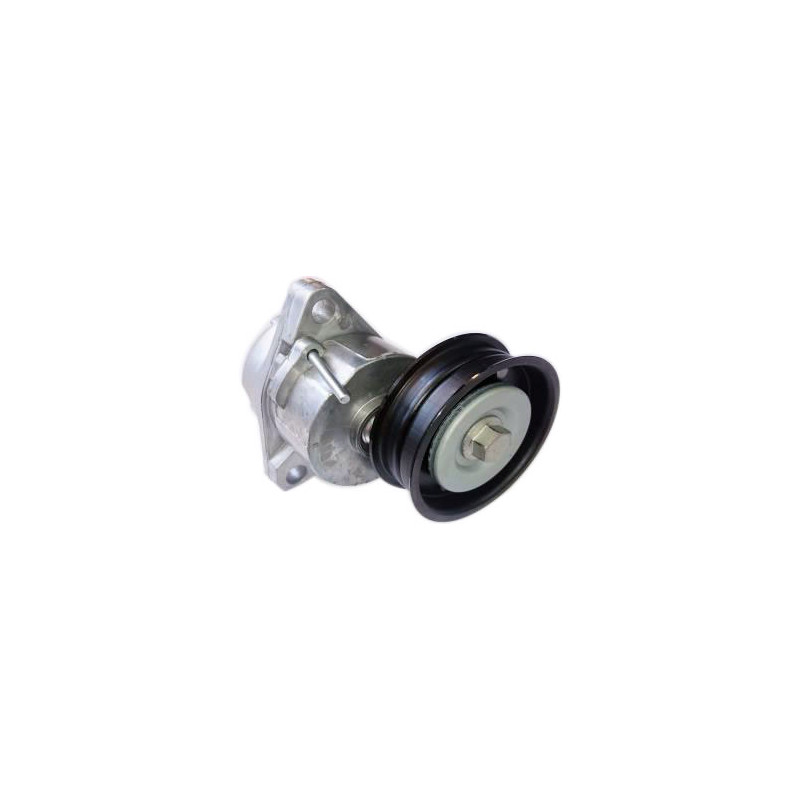 TENSOR DE CORREA DE ACCESORIOS BTP 11724