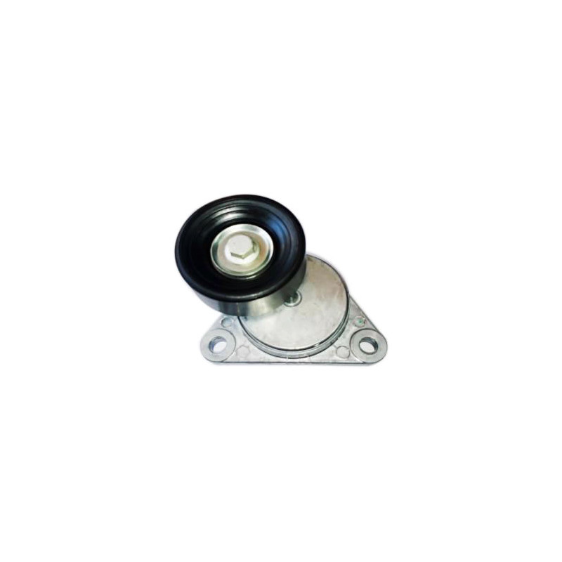 TENSOR DE CORREA DE ACCESORIOS BTP 11725