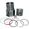 CONJUNTO DE MOTOR PERFECT CIRCLE PC283