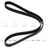 CORREA POLIV DE ACCESORIOS CONTINENTAL 65149/20