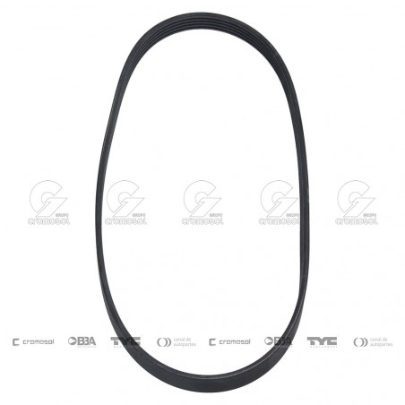 CORREA POLIV DE ACCESORIOS CONTINENTAL 65135/21