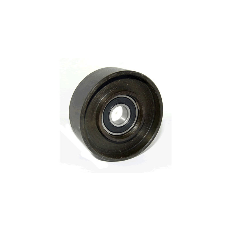 POLEA FIJA DE CORREA DE ACCESORIOS BTP 11234