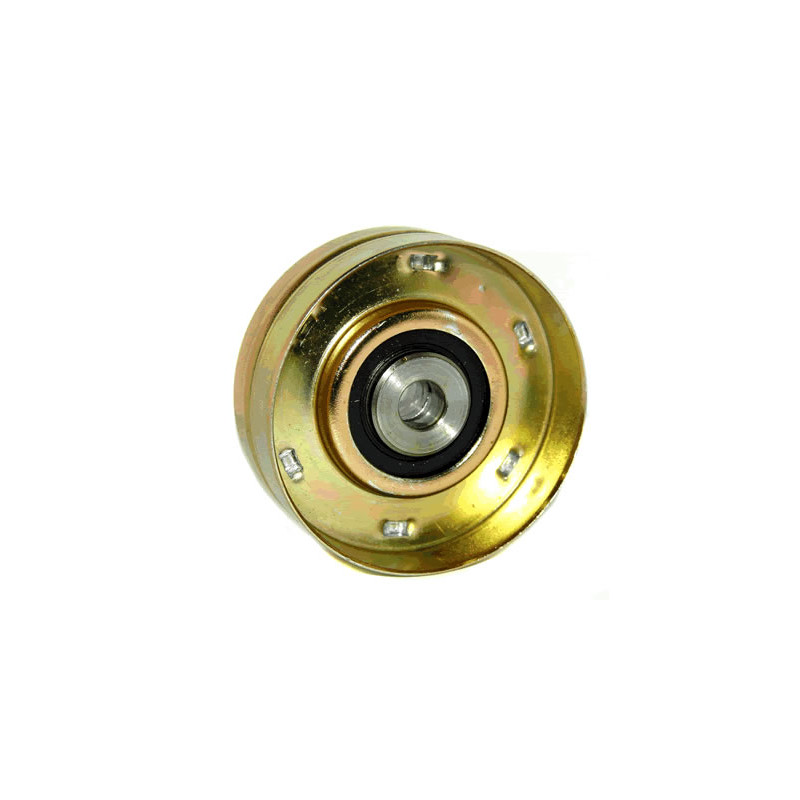 POLEA FIJA DE CORREA DE ACCESORIOS BTP 11236