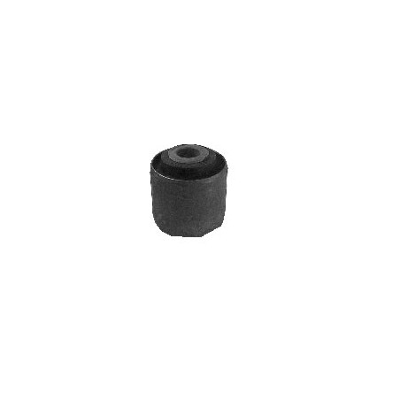 BUJE DE PARRILLA DE SUSPENSION VTH 5754