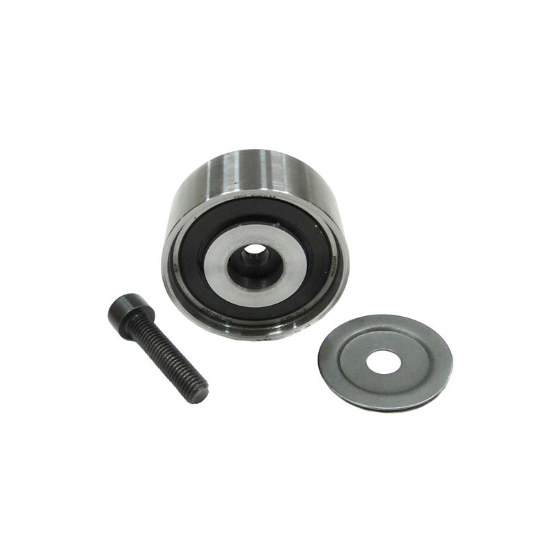 POLEA FIJA DE CORREA DE ACCESORIOS BTP 11917