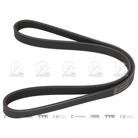 CORREA POLIV DE ACCESORIOS CONTINENTAL 65164/20