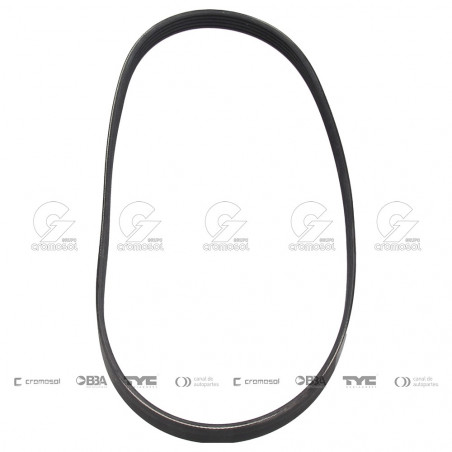 CORREA POLIV DE ACCESORIOS CONTINENTAL 65164/21