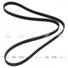 CORREA POLIV DE ACCESORIOS CONTINENTAL 65195/21