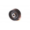 POLEA FIJA DE CORREA DE ACCESORIOS BTP 11922