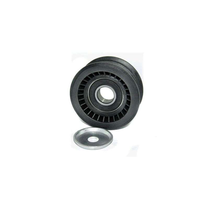 POLEA FIJA DE CORREA DE ACCESORIOS BTP 12022
