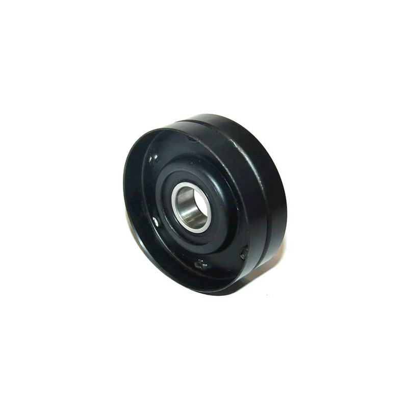 POLEA FIJA DE CORREA DE ACCESORIOS BTP 12029