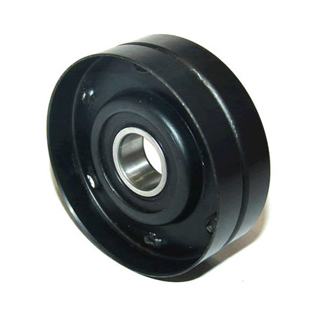 POLEA FIJA DE CORREA DE ACCESORIOS BTP 12029