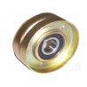 POLEA FIJA DE CORREA DE ACCESORIOS BTP 12035