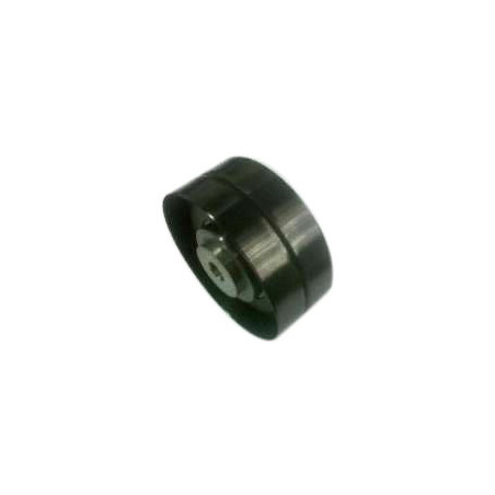 POLEA FIJA DE CORREA DE DISTRIBUCION BTP 12042